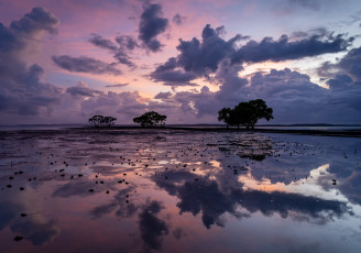 Картинка природа реки озера озеро