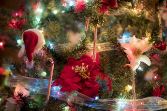 обоя праздничные, ёлки, новый, год
