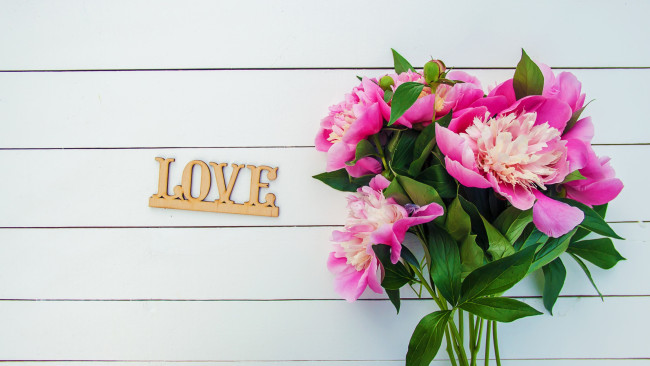 Обои картинки фото праздничные, день святого валентина,  сердечки,  любовь, букет, пионы, надпись