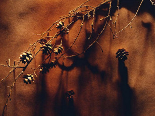 Картинка разное