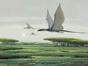 Картинка фэнтези star wars