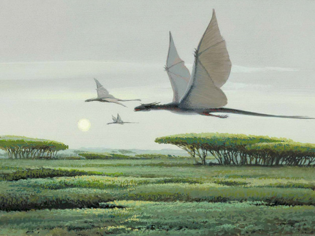 Обои картинки фото фэнтези, star, wars