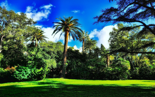 Обои картинки фото природа, тропики