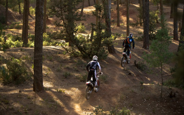 Картинка спорт мотокросс гонки freeride 350 ktm