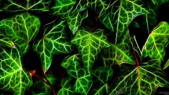 Обои картинки фото 3д, графика, nature, landscape, природа, фон, листья