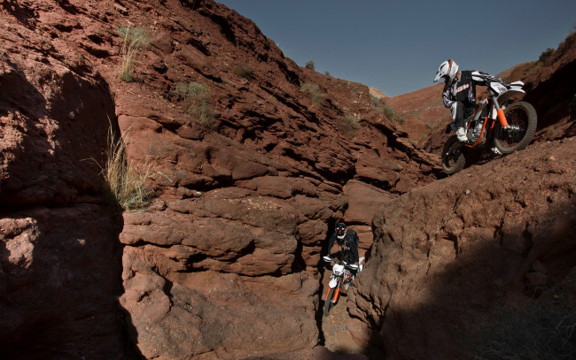 Обои картинки фото спорт, мотокросс, гонки, ktm, 350, freeride