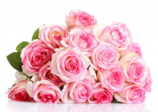 Картинка цветы розы бутоны