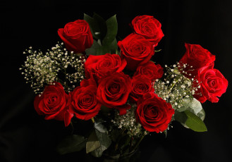 Картинка цветы розы красный