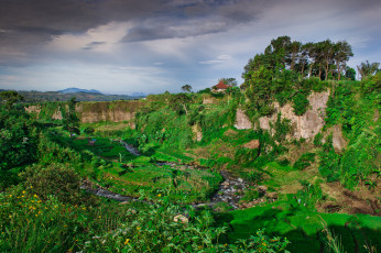 Картинка природа тропики горы джунгли река долина