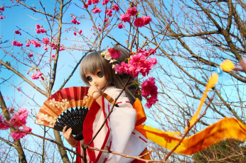 Картинка разное игрушки кукла игрушка