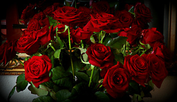 Картинка цветы розы красные