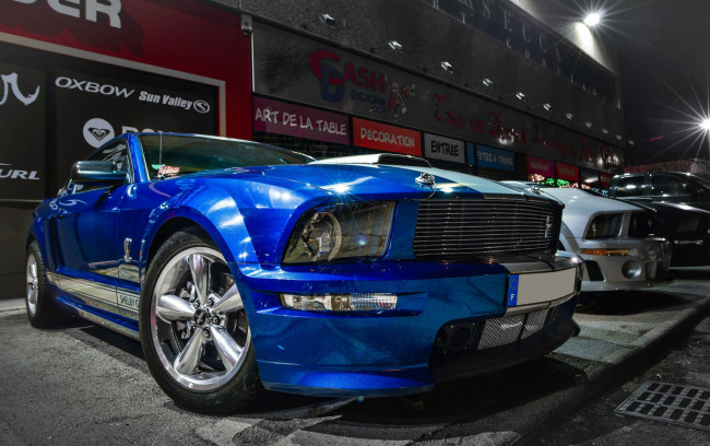 Обои картинки фото ford mustang shelby cobra, автомобили, выставки и уличные фото, ford, mustang, shelby, cobra, синий