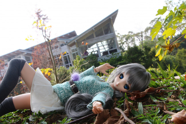 Обои картинки фото разное, игрушки, кукла, игрушка