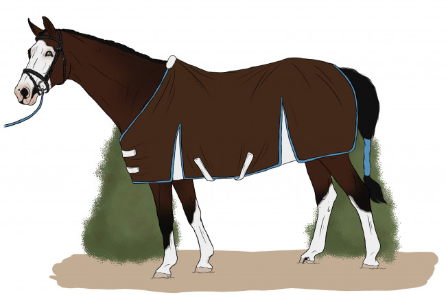 Обои картинки фото рисованное, животные,  лошади, взгляд, лошадь