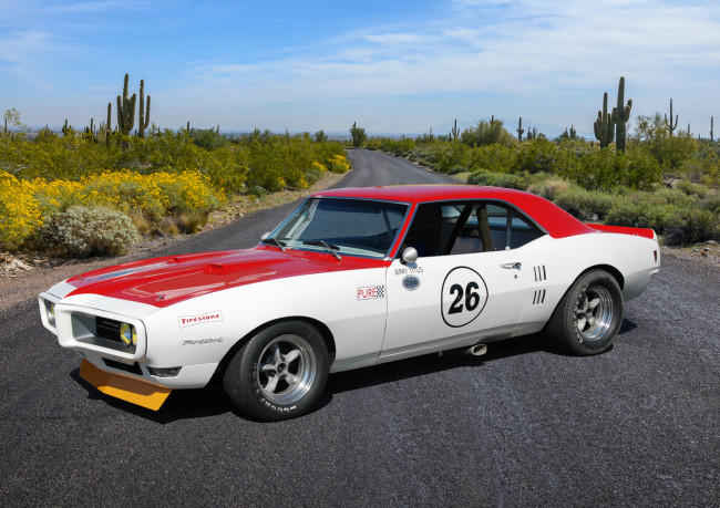Обои картинки фото автомобили, pontiac