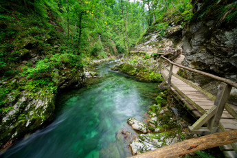 Картинка природа реки озера ущелье река мостки