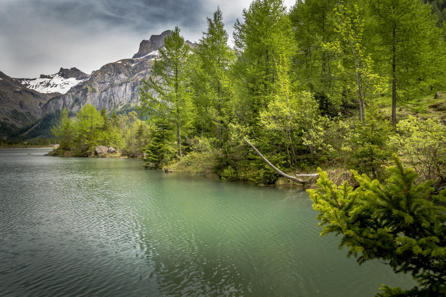 Обои картинки фото природа, реки, озера, горы, река, лес