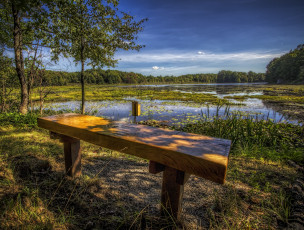 Картинка природа реки озера река лес