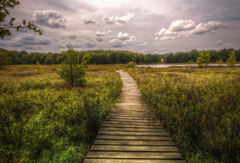 Картинка природа дороги тракт