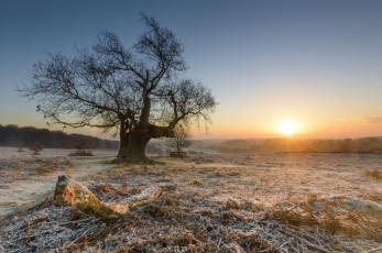 Картинка природа восходы закаты рассвет
