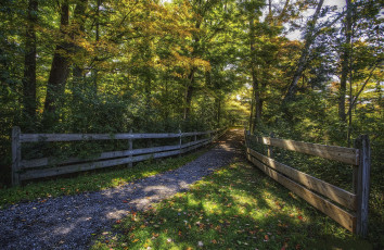 Картинка природа дороги тракт