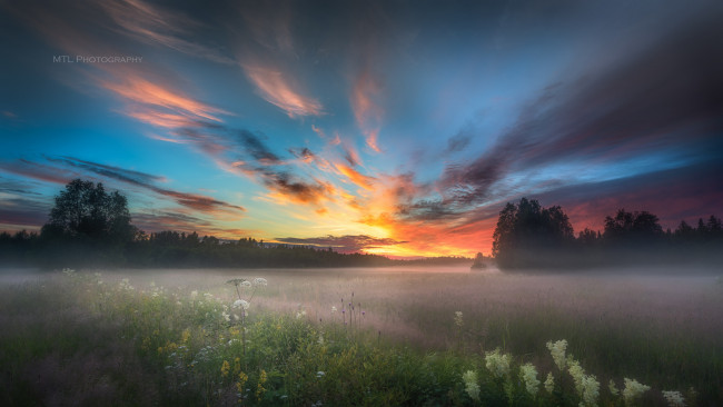 Обои картинки фото природа, восходы, закаты, лес, восход, туман