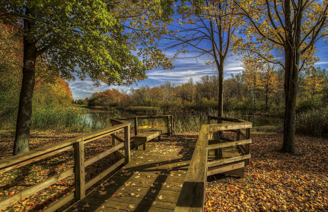 Обои картинки фото природа, реки, озера, лес, река