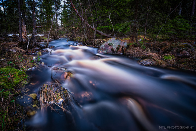 Обои картинки фото природа, реки, озера, лес, река