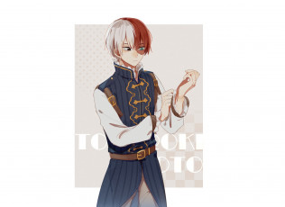 Картинка аниме boku+no+hero+academia todoroki shouto