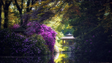 Картинка природа парк водоем беседка весна цветение