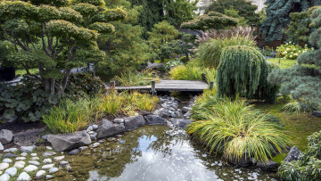 Картинка природа парк водоем мостик