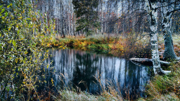 Картинка природа реки озера река деревья осень