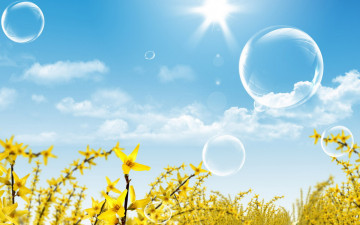 Картинка цветы желтые ветки небо облака пузыри