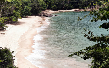 Картинка природа побережье вода пляж