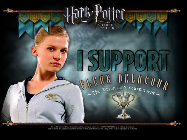 Обои картинки фото кино фильмы, harry potter & the goblet of fire, флер, делакур