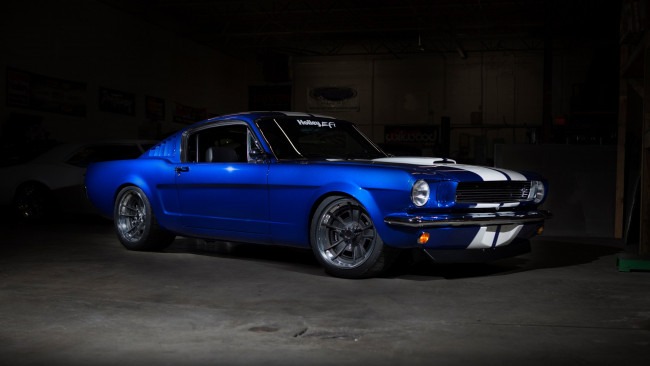 Обои картинки фото автомобили, mustang, ford