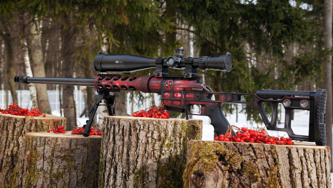 Обои картинки фото оружие, снайперская винтовка, двл-10, м2, урбана