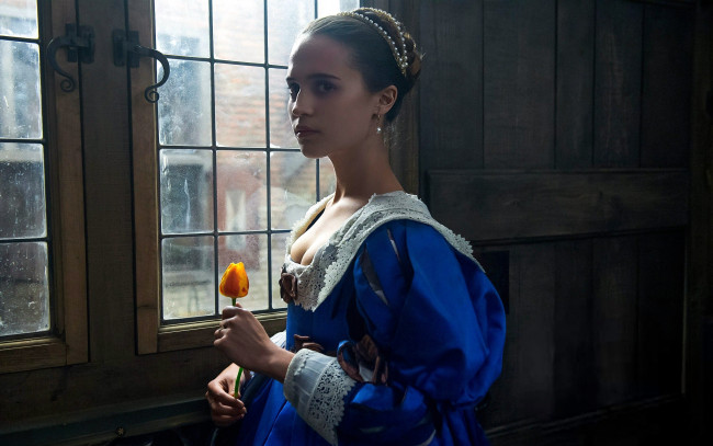 Обои картинки фото tulip fever, кино фильмы, -unknown , другое, tulip, fever