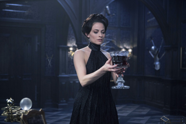 Обои картинки фото кино фильмы, underworld,  blood wars, lara, pulver