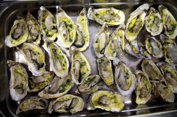 Картинка еда рыба +морепродукты +суши +роллы устрицы