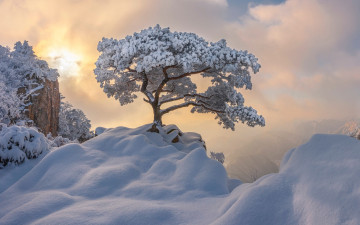 Картинка природа зима снег сугробы