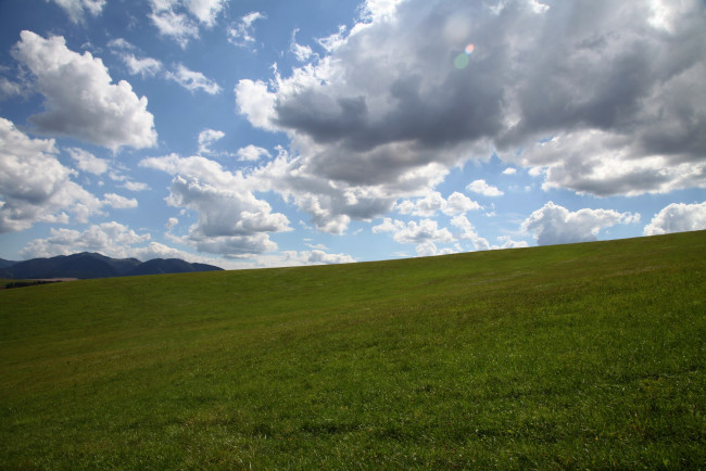 Обои картинки фото чехия, природа, луга