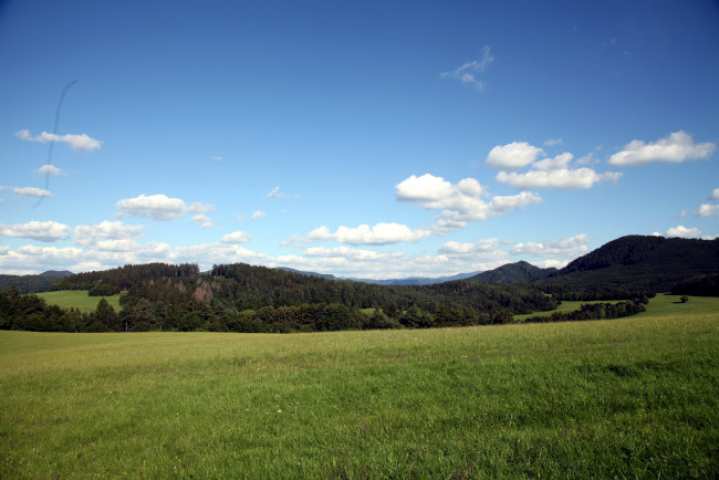 Обои картинки фото чехия, природа, луга