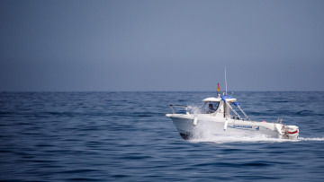 Картинка корабли катера скоростной катер