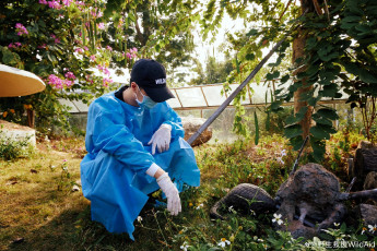 Картинка мужчины wang+yi+bo актер маска перчатки панголин загон