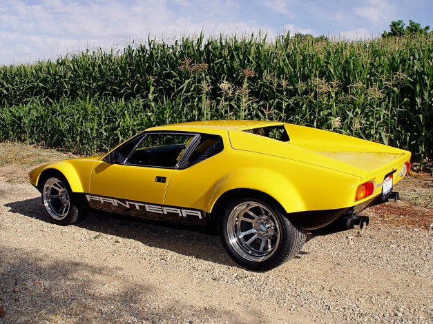 Обои картинки фото pantera, автомобили, de, tomaso