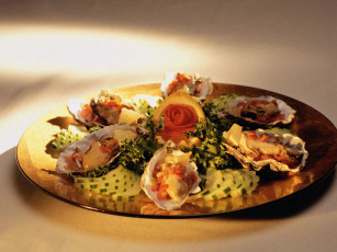 Картинка еда салаты закуски