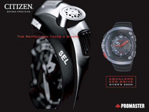 Картинка бренды citizen