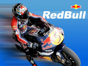 обоя бренды, red, bull