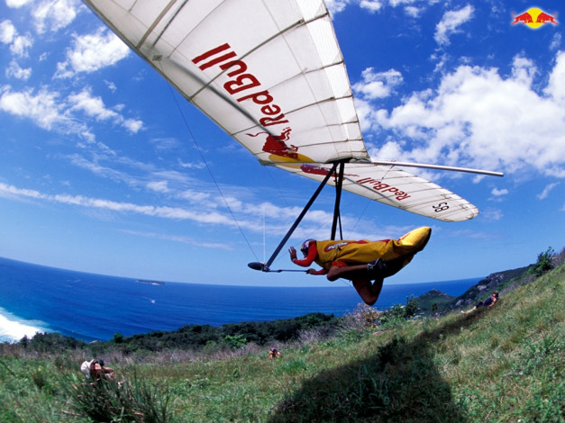 Обои картинки фото бренды, red, bull